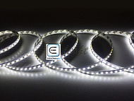 Светодиодная лента Eleganz LUX 2835 IP20 12V 9.6 Вт/м 120 Led/м Холодный белый 6000K (цена за метр) EL-LS-96W