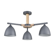 Люстра потолочная LUMION 8096/3C COLANGE